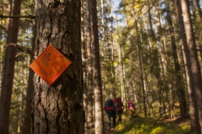 Pienellä siksakilla Liesjärven kansallispuistossa sai aikaan mukavan 13 kilometrin lauantaipatikan leiripaikalta toiselle.