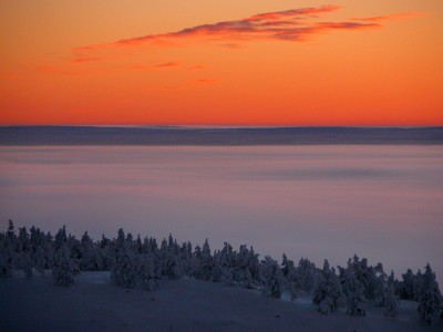 Kaamoksen pakkasväripaletti Rukan maisemassa.