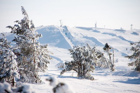 Levin pisimmällä rinteellä on mittaa 2500 metriä. Hiihtoalueen suurin korkeusero on 325 metriä.