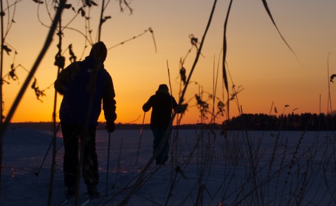 Kultainen järvimaisema