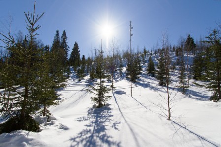 Maarianvaaran Maarianrinteiden offareista ei juuri vapaalaskupiireissä kohista. Pientä hauskaa kokeiltavaa täältäkin löytyy. Etenkin radiomaston alapuolelta harvennetusta metsästä.