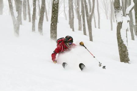 Hakuba Cortinan puiden väliin mahtuu paljon maagista puuterihiihtoa.