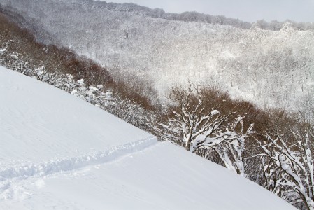 Hakuba Cortinan neloshissin yläaseman takapuolelle lähtee mukava lasku. Sopivassa kohdassa takaisin oikealle leikkaamalla pääsee juuri luisuttelemaan rinteeseen. Tämän pisteen alapuolelta homma vaatii ylämäkeä.