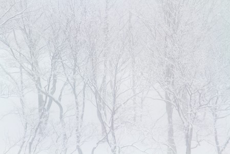 Tiuhassa lumisateessa kannattaa hakea kontrastia näkökenttään metsästä tai rinteen puolella metsän reunasta.