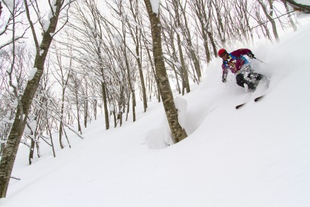 Hakuba Cortina tarkoittaa ensiluokkaista metsälaskua, mutta myös kovaa kisaa helpoimmin saavutettavista linjoista.