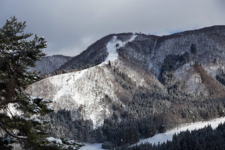 Nozawa Onsenin maasto on harjanteiden värittämää. Rinteet kattavat alueen laajalti, ja niiden väliin ja etenkin ulkopuolelle jää mainioita off-pistemahdollisuuksia.