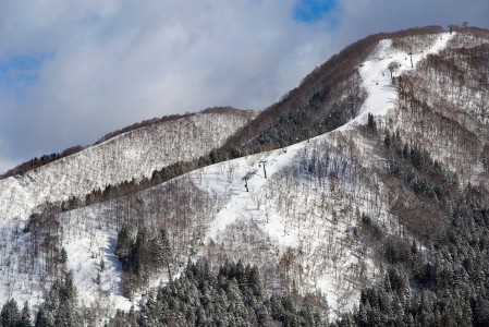 Nozawa Onsenin maasto on ylös asti puiden peittämää, ja juuri sopivasti harjantailta jyrkentyvää. Etenkin keskijyrkkää laskettavaa hieman kokeneemmille pöllyttäjille löytyy runsaasti.