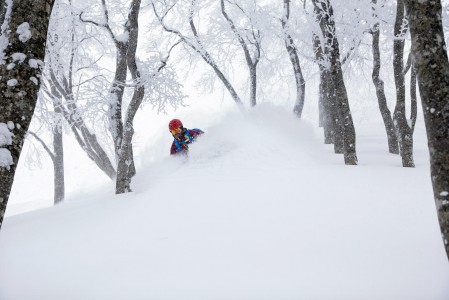 Nozawa Onsenin laajat metsämaastot on kuin suunniteltu puuterin pöllyttelyyn. Tässä miljöössä on kovin helppoa olla onnellinen.