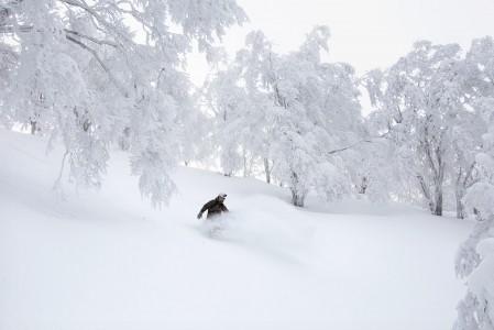 Nozawa Onsenin huipulta alkavalta rinteettömältä harjanteelta löytyy runsain mitoin koskematonta laskettavaa. Reitti loppuu näppärästi rinteeseen.