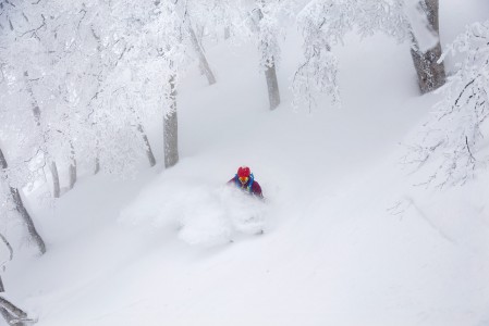 Nozawa Onsenin metsissä on jopa todennäköistä päästä etenemään lumipilven sisällä lähes painottomasti pöllytellen