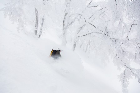 Nozawa Onsenin valkoiseksi kuorrutetuissa metsissä voi kokea taianomaisia laskuja.