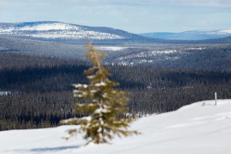 Sallan erämaamaisemat itärajan tuntumassa poikkeavat luonteeltaan jonkun verran läntisemmästä Lapista. Huipulta näkyy pitkälle Venäjän puolelle.