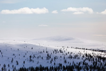 Emme kokeilleet Saariselän latuverkostoa, mutta sitä kehuttiin usealta suunnalta maamme parhaisiin kuuluvaksi.