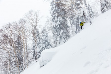 Asahidaken ylemmän osan metsissä on miellyttävän väljää. Sekä puut että muut laskijat ovat harvassa.