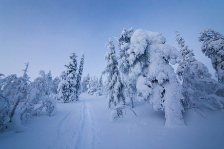 Pyhäntunturin viereiselle Ukonhatulle menee useimmiten valmis nousulatu. Laskut huipulta ovat vaivan arvoisia.