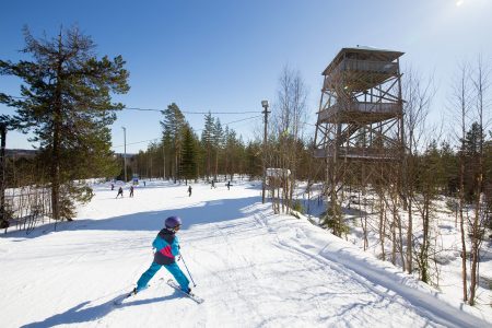 Pääskyvuoren huipulla maisemannälkäisiä odottaa kolmikerroksinen näkötorni.