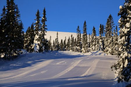 Monikaan asia ei näytä kutsuvammalta kuin koskematon rinne aamuauringossa. Apus eka!