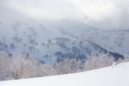 1488-metrisen Mt. Yoichi-daken ympäristössä riittää pehmeää temmellyskenttää. Itse huipulle kannattaa mennä vain tyynellä kelillä ja hyvällä näkyvyydellä. Muulloin kannattaa pysyä viereisillä metsäisemmillä skinnailumäillä.