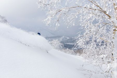 Kiroroa voisi kuvailla puuteritaivaaksi. Asarin skinnaillen saavutettavat takamaastot ovat leppoisia lojotuksia, eikä muiden jälkiä juuri näy.