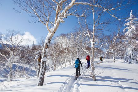 Sapporo Kokusain yläasemalta Asaridaken huipulle on reilun puolen tunnin nousu leppoisan loivassa maastossa.