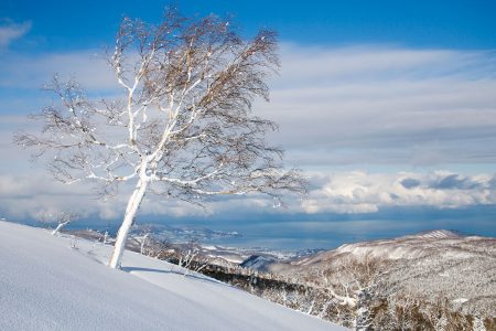 Sapporo Kokusain Asaridake-huipulta näkyy Otarun kaupunkiin ja kauas Japaninmerelle.