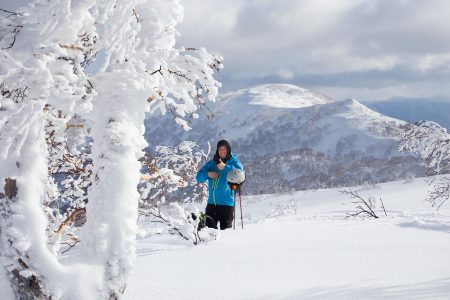 Sapporo Kokusain Asaridake-huipulta 1 287 metristä lähtee lukuisia hyviä laskulinjoja, jotka jatkuvat lähes 630 metrissä olevalle ala-asemalle saakka.