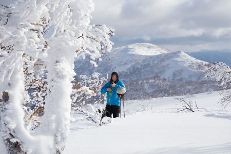 Sapporo Kokusain Asaridake-huipulta 1 287 metristä lähtee lukuisia hyviä laskulinjoja, jotka jatkuvat lähes 630 metrissä olevalle ala-asemalle saakka. 