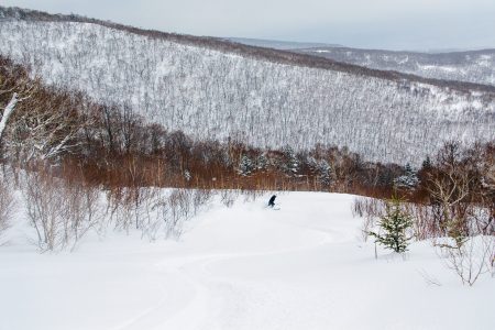 Iwanai Resortin pieni kissahiihtoryhmä pääsee päivittäin korkkaamaan entiset hoidetut rinteet puuterilumesta.