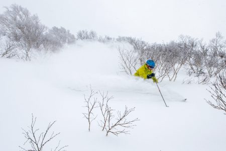 Iwanai Resortin maasto on yläosaltaan matalaa puustoa, jonka välistä mahtuu kurvailemaan mukavasti.