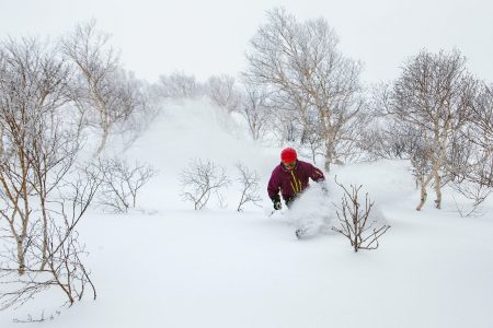 Iwanai Resortissa koko vuori on maksimissaan neljäntoista kissahiihtoasiakkaan käytössä. Ennakkoon varaamalla koko vuoren saa oman laskuporukan käyttöön.