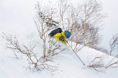 Iwanai Resortin offarimaaston yläosassa on pientä, puskamaista puustoa. Risut tuovat hyvää kontrastia puuterinpöllyttämiseen pilvisellä säällä ja lumisateella.