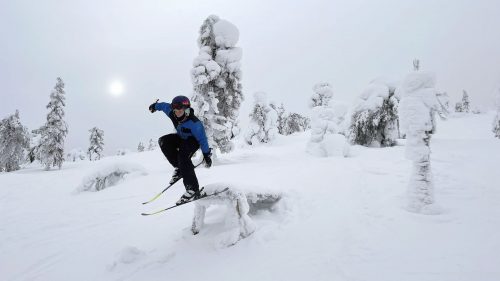 Sallan metsälaskualueelta löytyy puusta tehtyjä hyppyreitä, reilejä ja muita temppupaikkoja.