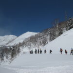 Hakuba Tsugaike bc