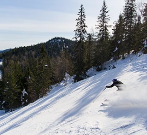 Koli - hiihtokeskus