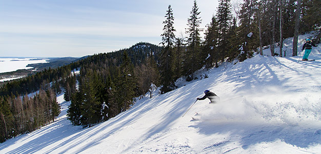 Koli - hiihtokeskus