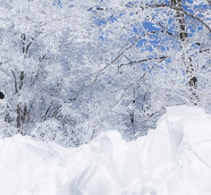 Niseko - hiihtokeskus