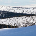 saariselkä tunturimaisema