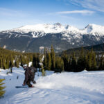 Whistler Blackcomb metsä