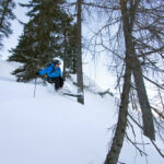 Krippenstein forest off-piste