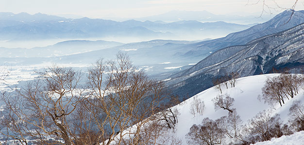 Myoko Kogen – Puuterikätkö Japanin sydämessä