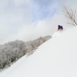 Hakuba Cortina offarit