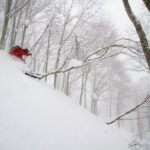 Hakuba Cortina puuterilasku