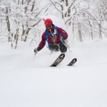 Hakuba Cortina powder skier