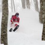 Hakuba Cortina puuteri