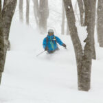 Hakuba Cortina powder skier