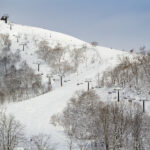 Hakuba Cortina slope