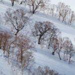 Hakuba Happo one scenery