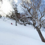 Hakuba Tsugaike backside