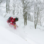 Hakuba Cortina forest powder