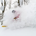 Hakuba Cortina off-piste powder